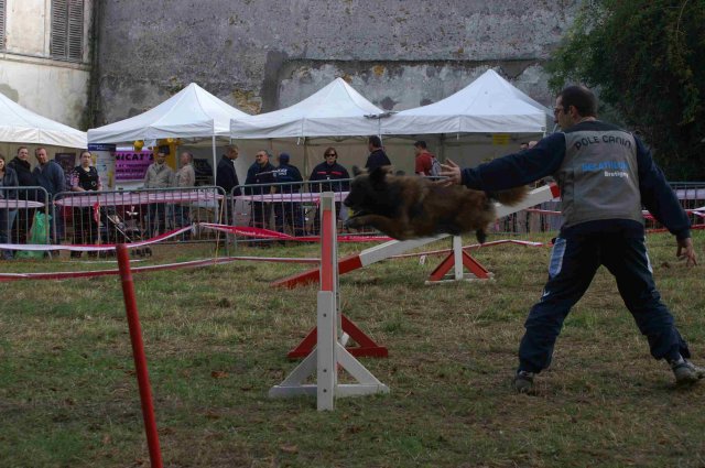 foire-haricots 2011-09-17et18